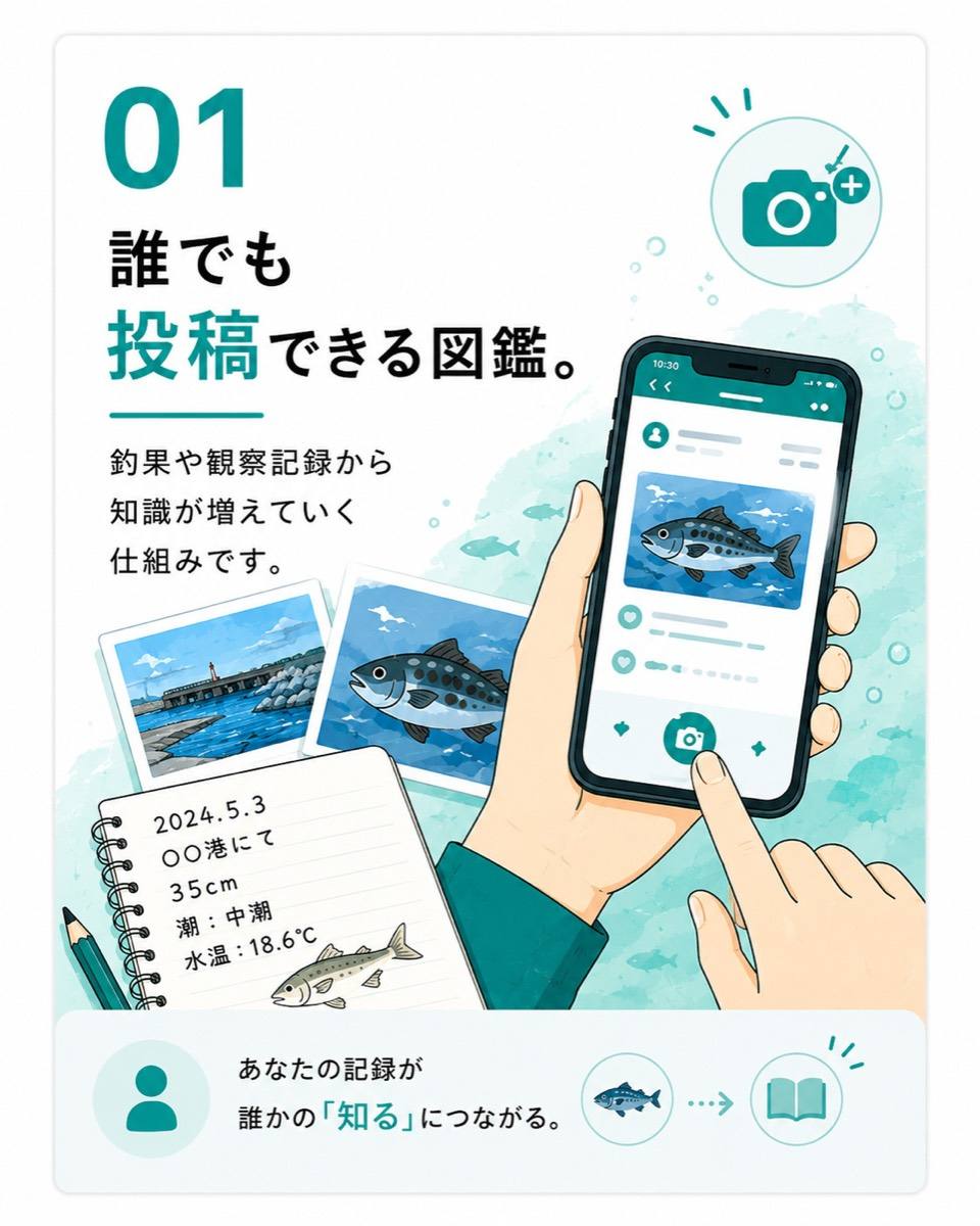 誰でも投稿できる図鑑。投稿された画像は正しい同定を経て、知識として共有されていきます。あなたの記録が誰かの「知る」につながる。