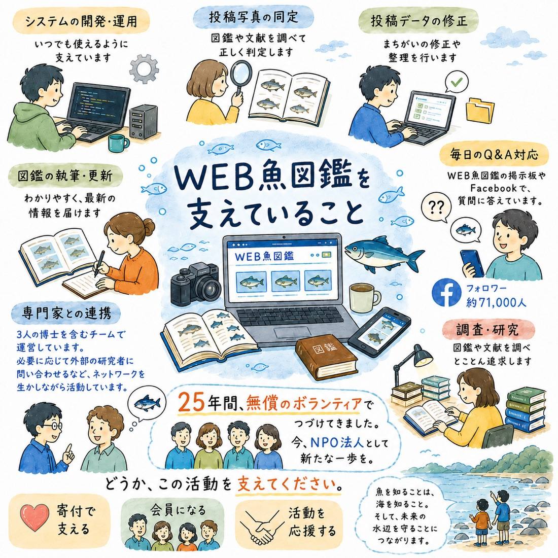WEB魚図鑑を支える活動内容を示すインフォグラフィック