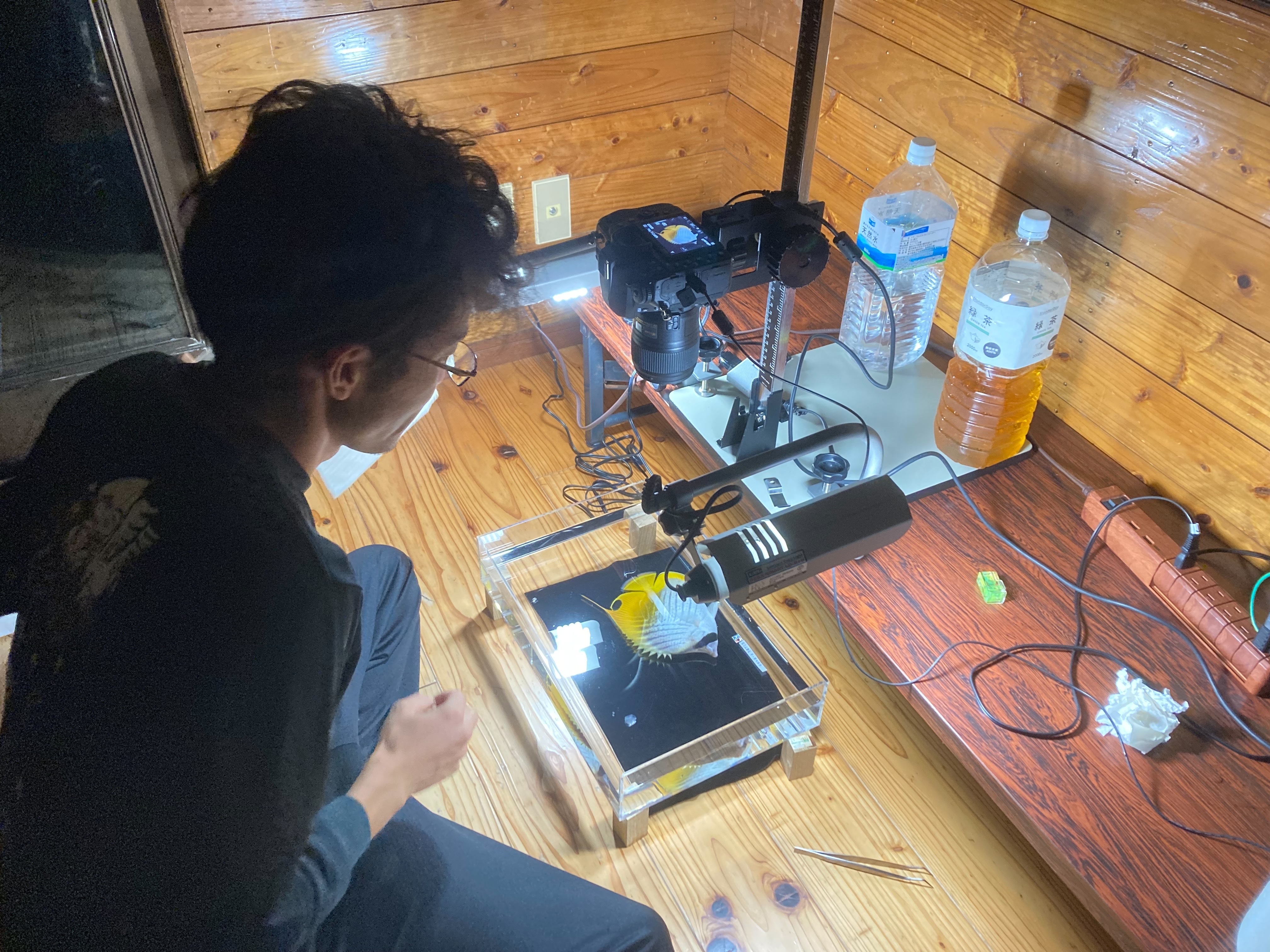 採集した魚の特徴を撮影する様子